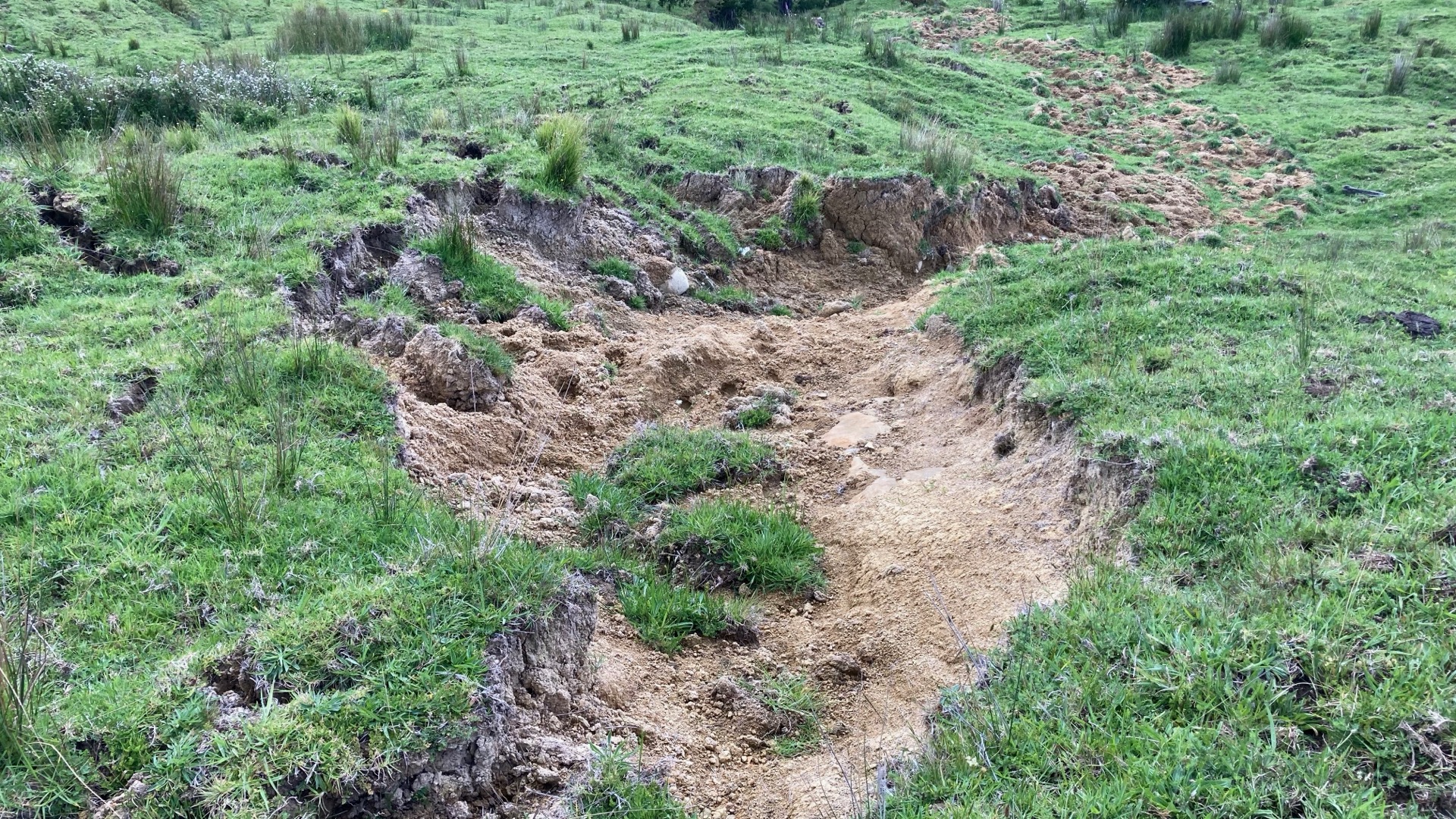 Erosion gully showing why forestry helps stabilise marginal land