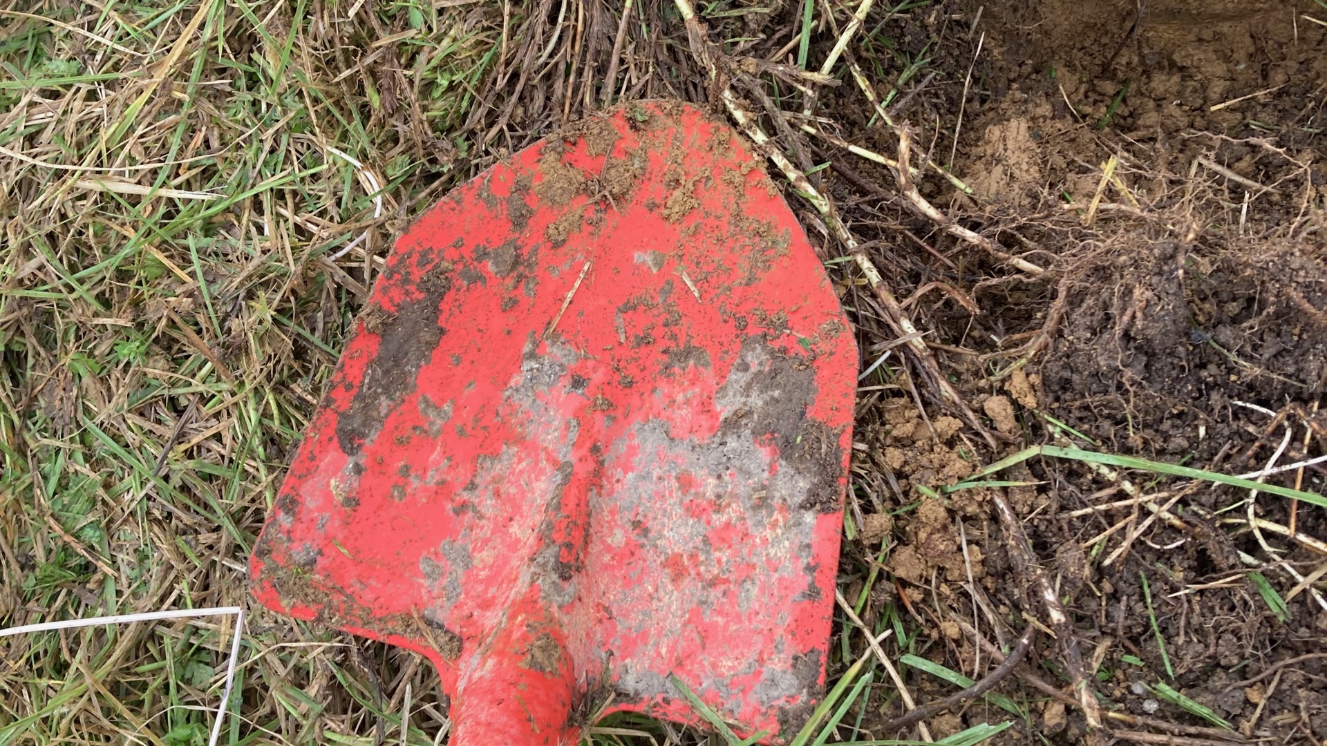 Shovel in soil ready for planting