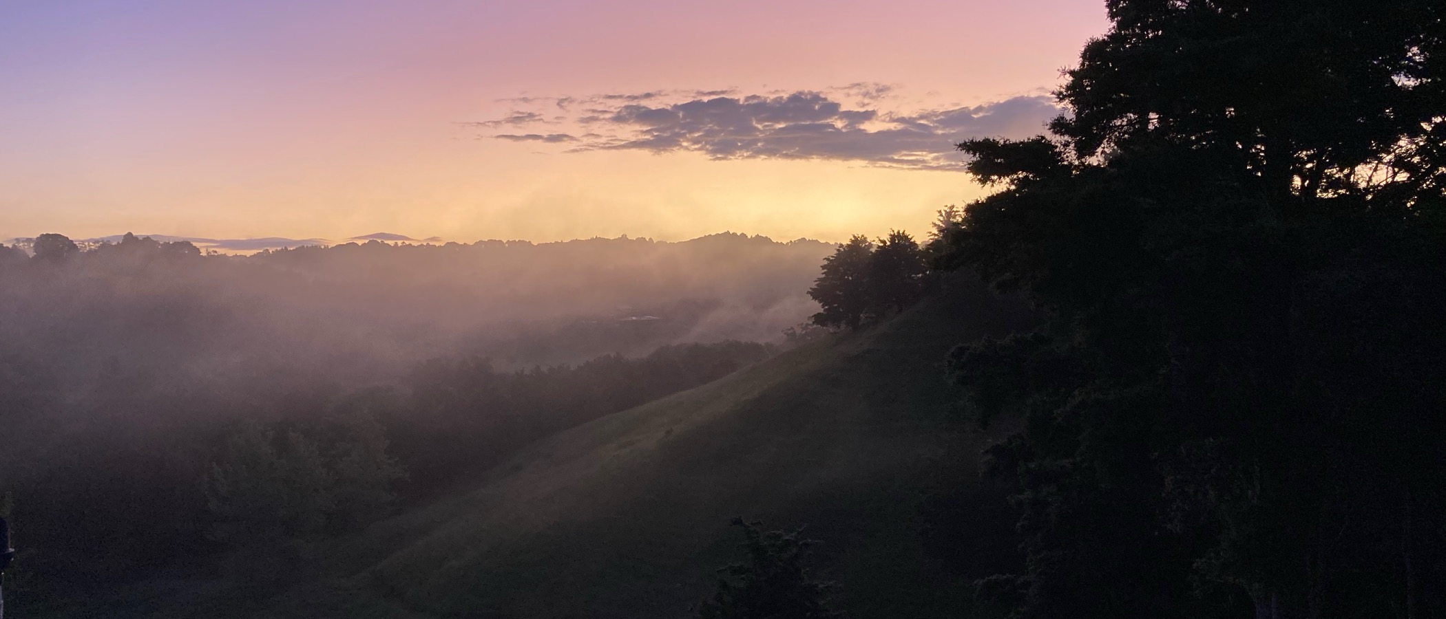 Misty Northland hills at sunrise with rolling green pastures and native bush