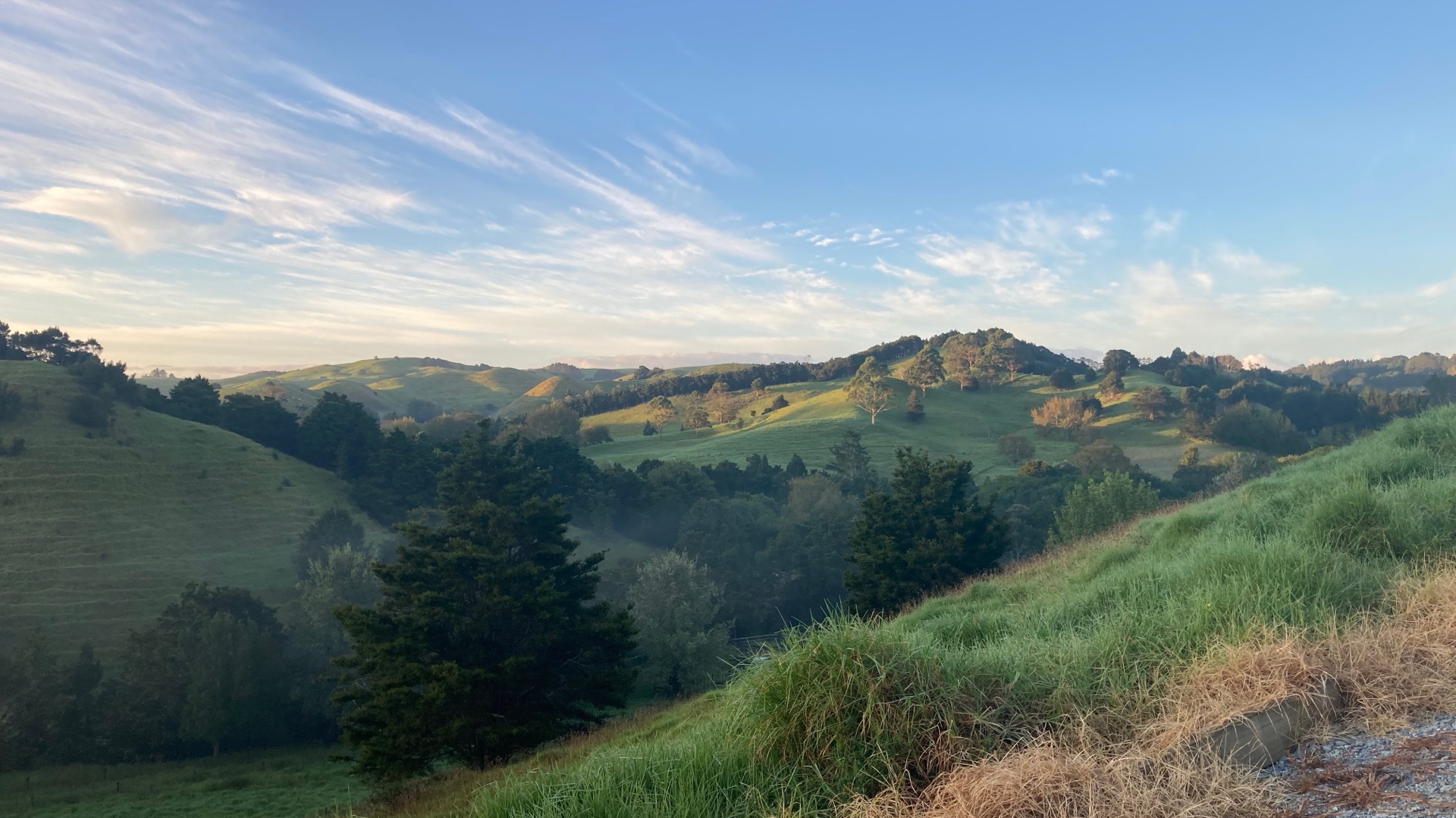 Rolling Far North hills at golden hour